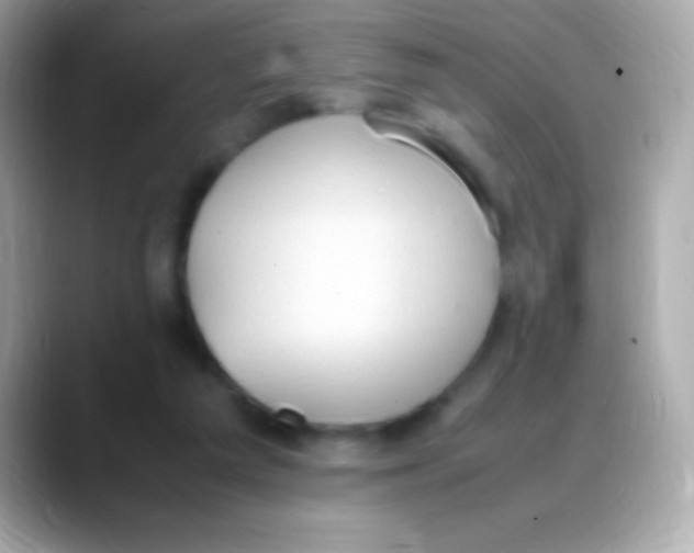 X0000088150209200706042036