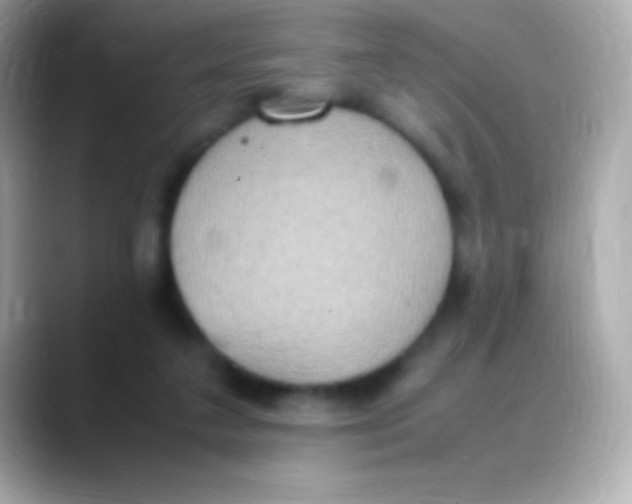 X0000088150211200706042035