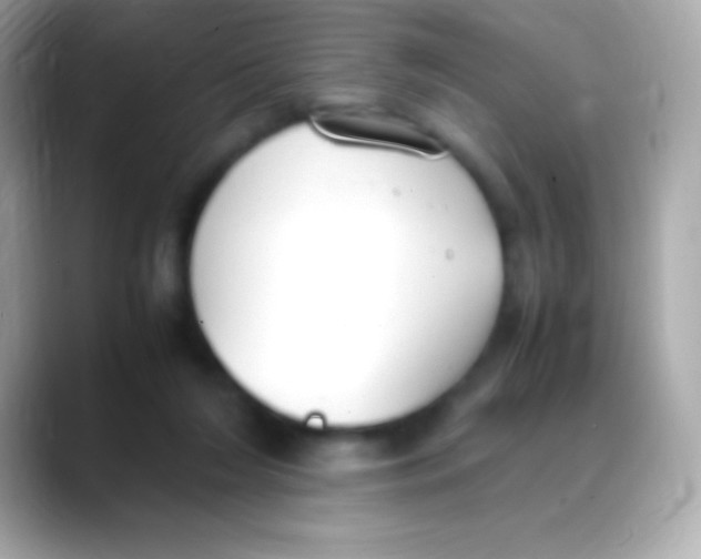 X0000088150212200706042035