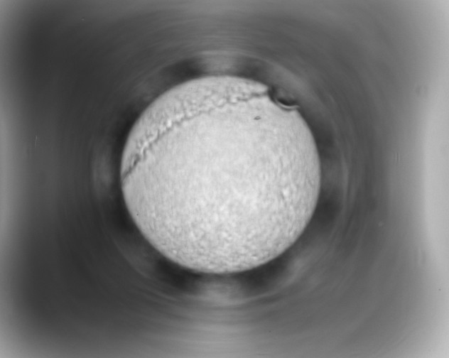 X0000088150215200706042035