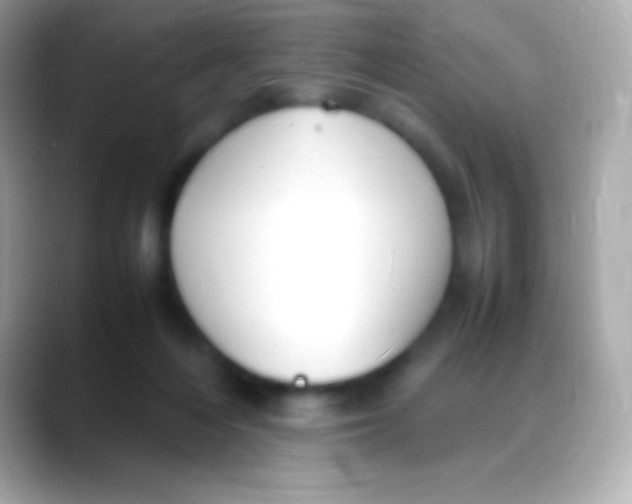 X0000088150216200706042035