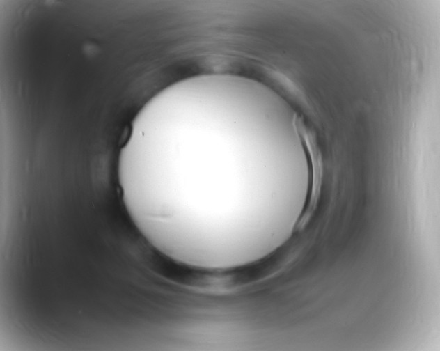 X0000088150217200706042035