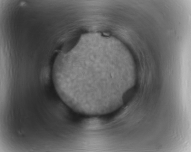 X0000088150219200706042035