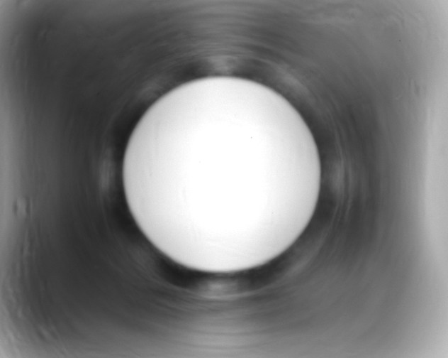 X0000088150220200706042035