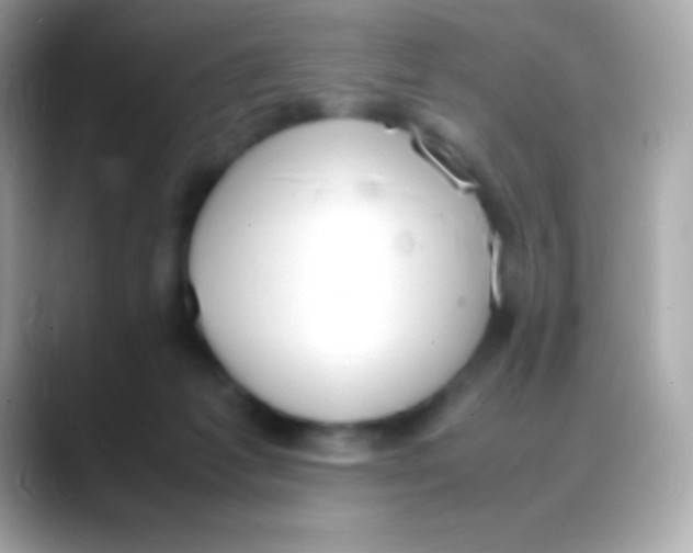 X0000088150221200706042035