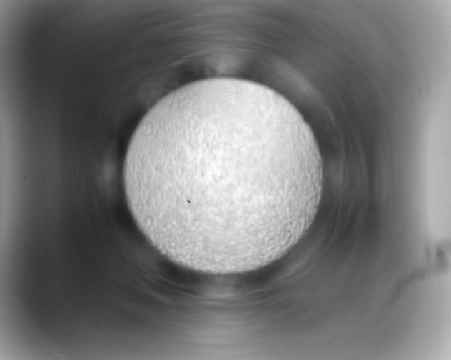 X0000088150222200706042035