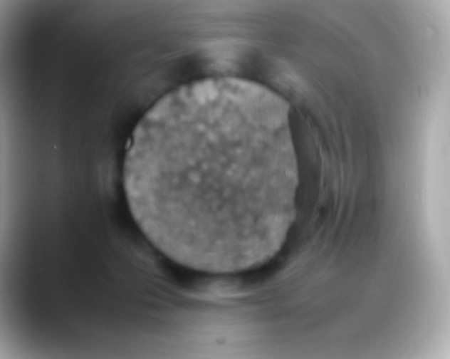 X0000088150223200706042035