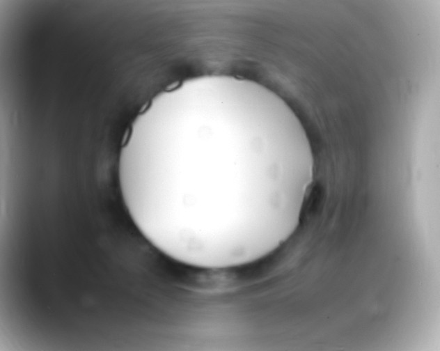 X0000088150225200706042035