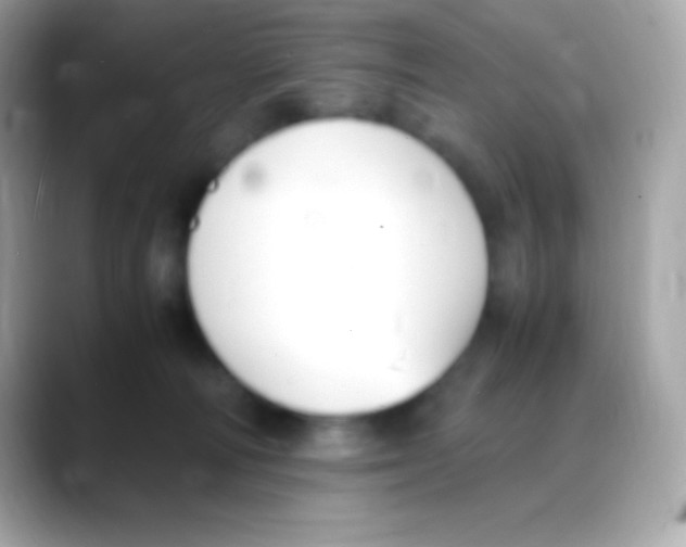 X0000088150226200706042035