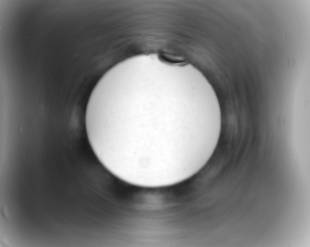 X0000088150228200706042035