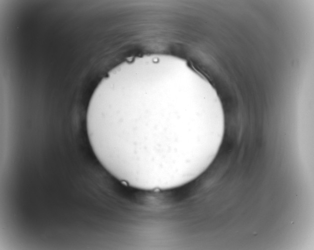 X0000088150229200706042035