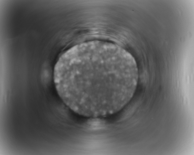 X0000088150231200706042035