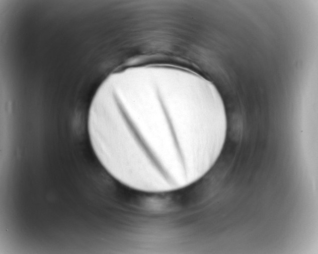 X0000088150232200706042035