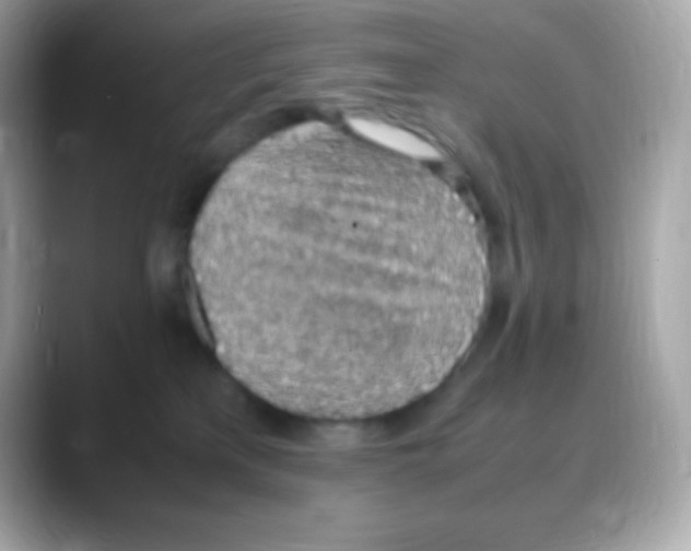 X0000088150233200706042035