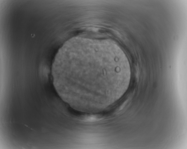 X0000088150235200706042035