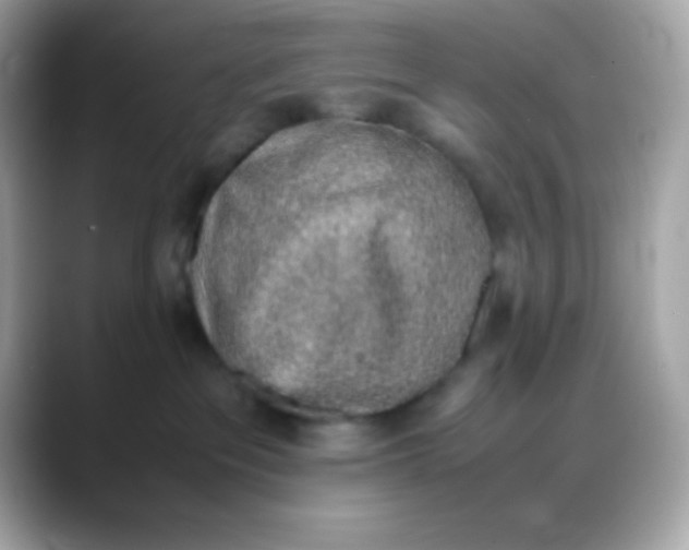 X0000088150237200706042035