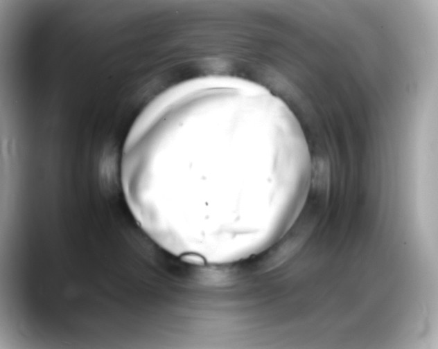 X0000088150238200706042035