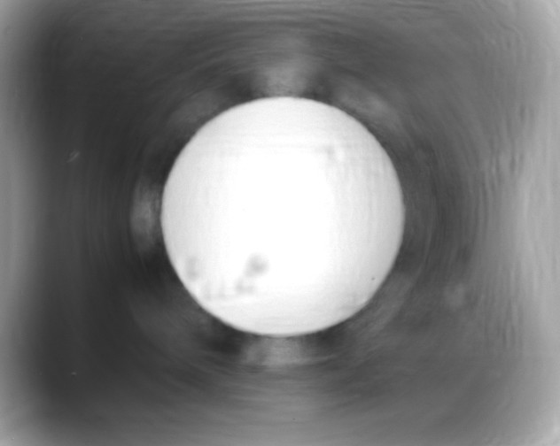 X0000088150240200706042035