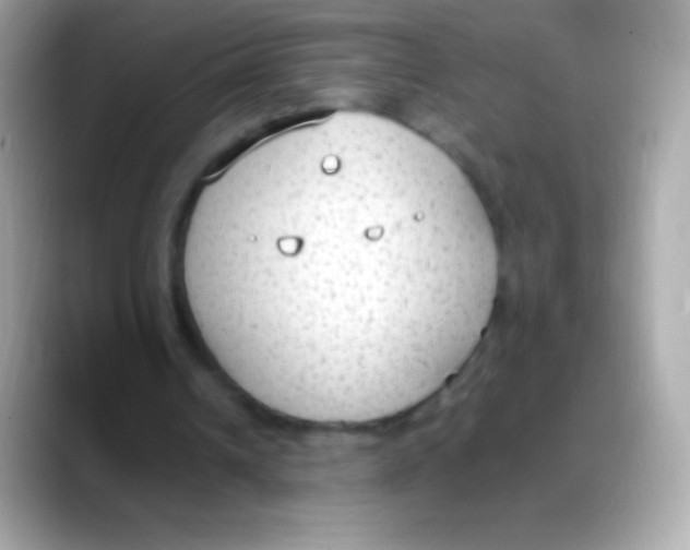 X0000088150242200706042034