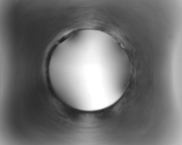 X0000088150244200706042035