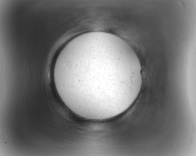 X0000088150246200706042035