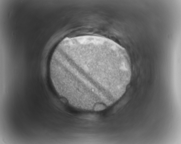 X0000088150247200706042035