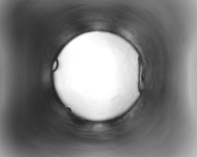 X0000088150249200706042035