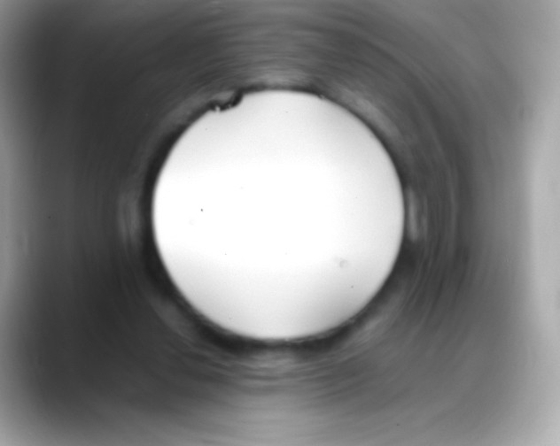 X0000088150252200706042035