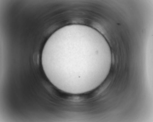 X0000088150253200706042035