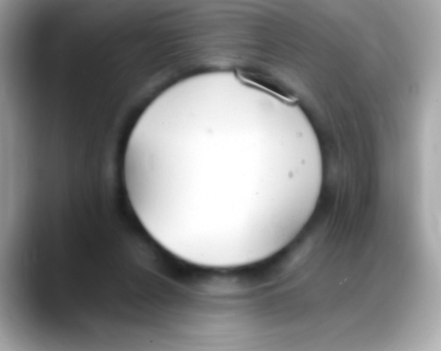 X0000088150256200706042035