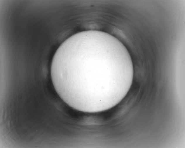 X0000088150259200706042035