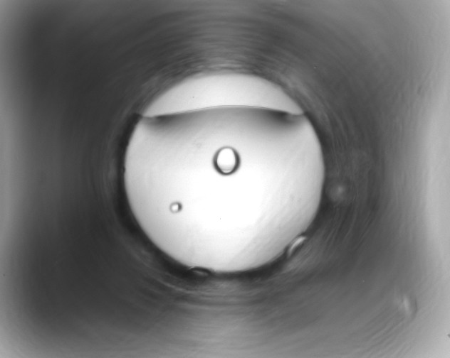 X0000088150260200706042035