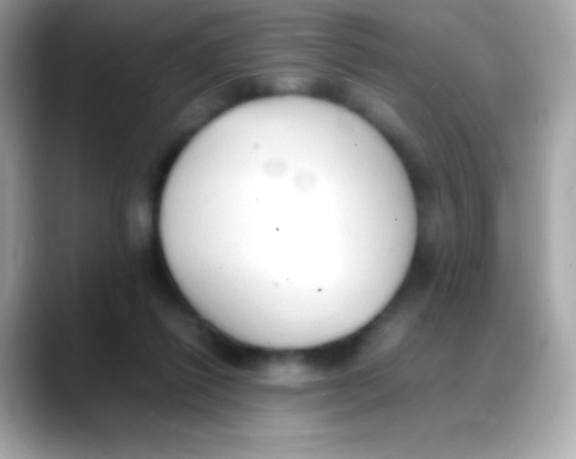 X0000088150262200706042035