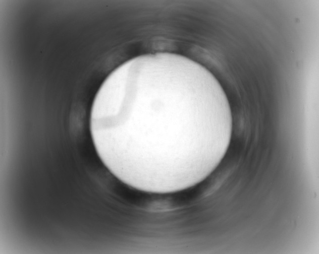 X0000088150263200706042035