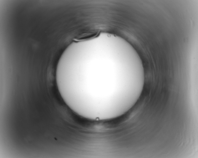 X0000088150264200706042035