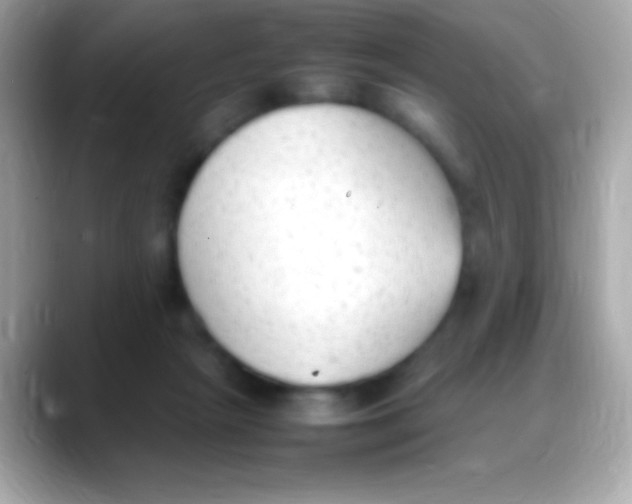 X0000088150265200706042035