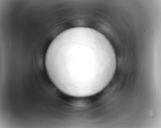 X0000088150267200706042035