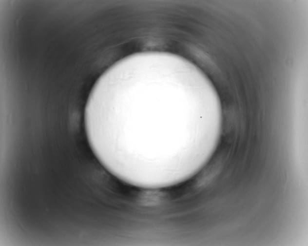 X0000088150269200706042035