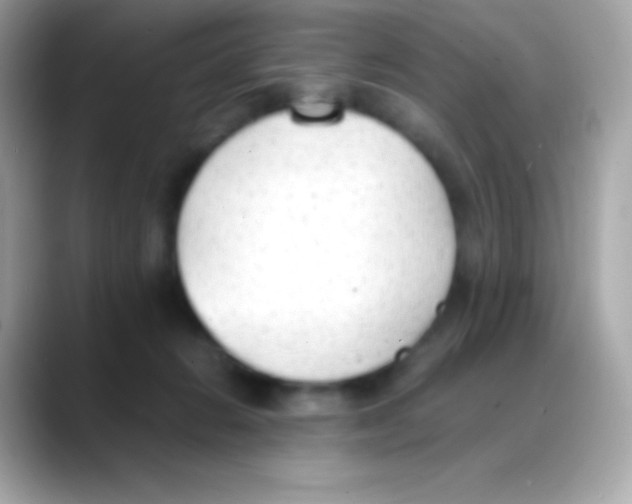 X0000088150270200706042035