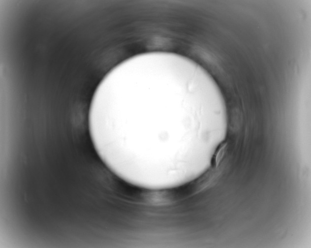 X0000088150273200706042035