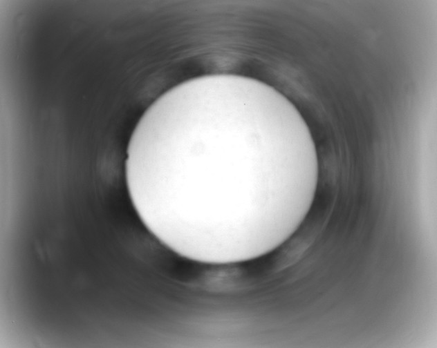 X0000088150274200706042035