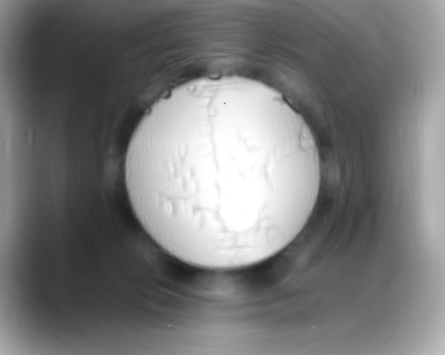 X0000088150276200706042035