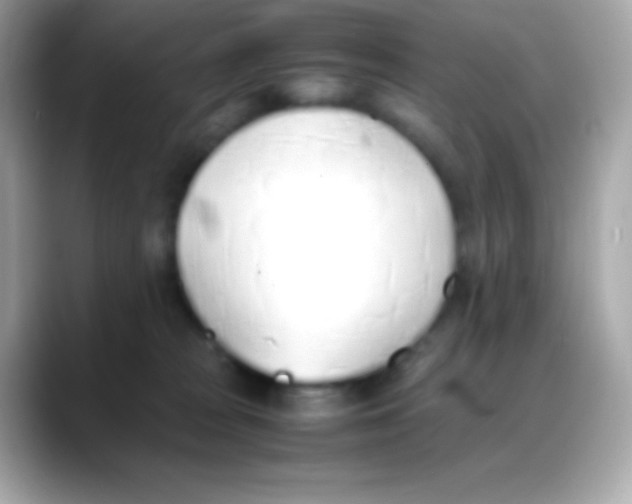 X0000088150277200706042035