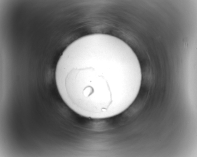 X0000088150278200706042035