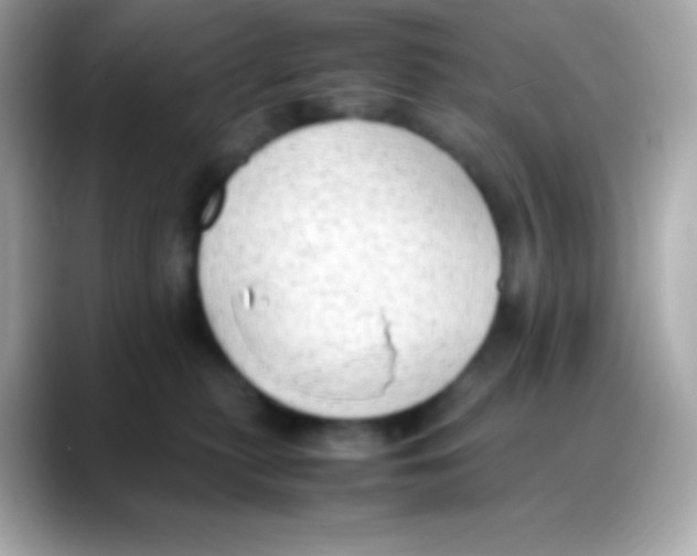 X0000088150279200706042035