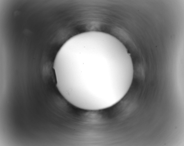 X0000088150280200706042035