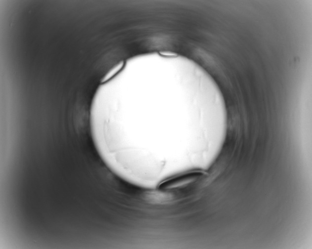 X0000088150281200706042035