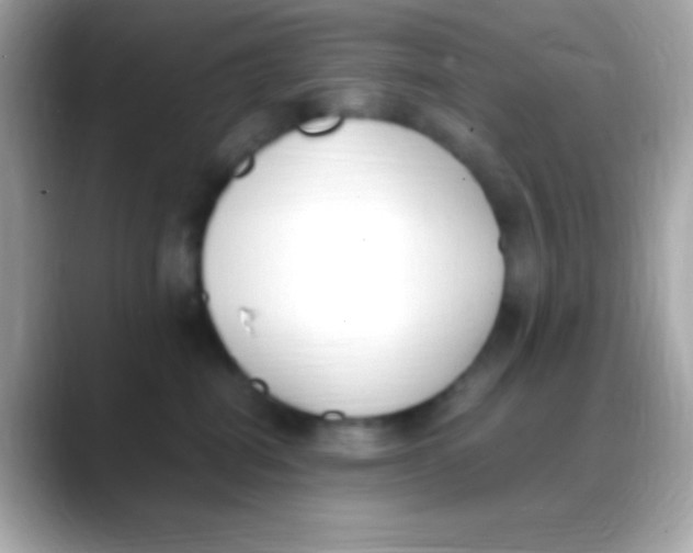 X0000088150282200706042035