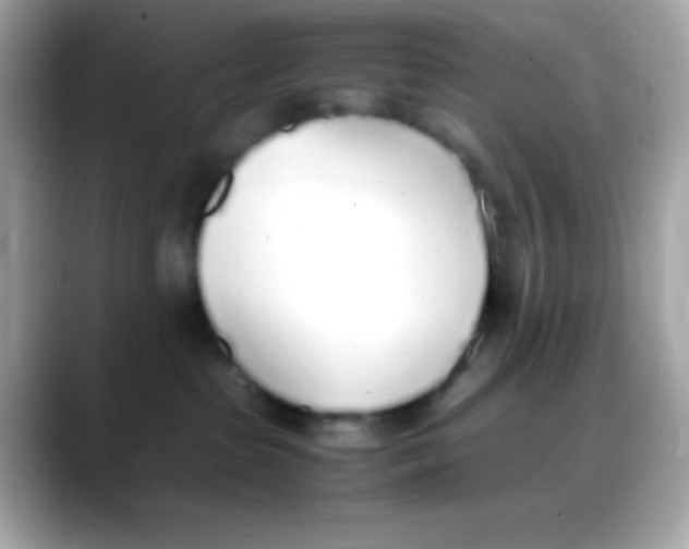 X0000088150285200706042035