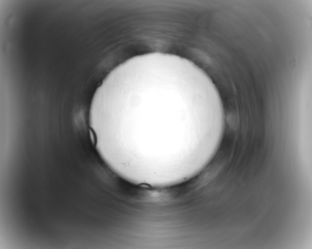 X0000088150286200706042035